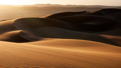 Eden: Untamed Planet Season 1 Episode 2 - Namib: Skeleton Coast and Beyond