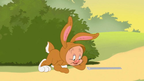 Fudds Bunny still