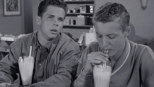 Leave It to Beaver Season 4 Episode 8 - Eddie's Double-Cross