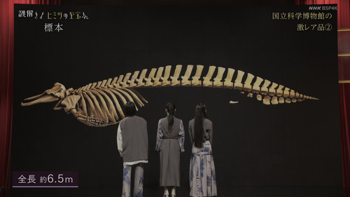Nazotoki! Himitsu no Shiho-san Season 1 Episode 11 - Earth’s Treasures: National Museum Specimens