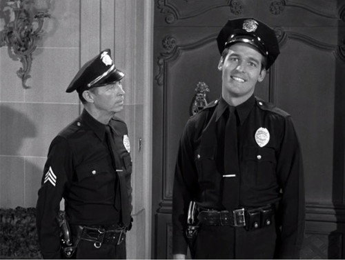 The Beverly Hillbillies Season 1 Episode 19 - Elly's Animals