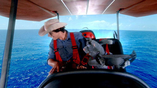 Andy's Wild Adventures Season 1 Episode 7 - Chinstrap Penguins