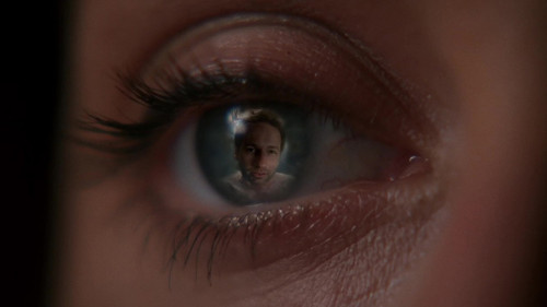 undefined Season 9 Episode 16 - William