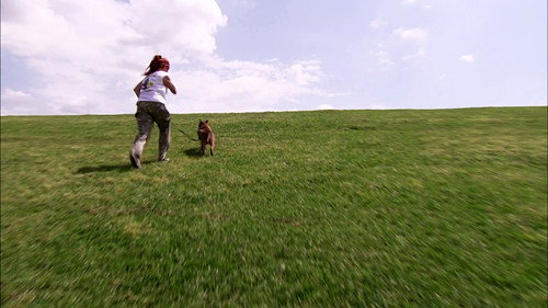 Pit Bulls and Parolees Season 4 Episode 11 - Freedom Fighters