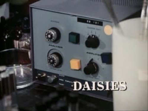 Darkroom Season 1 Episode 10 - Daisies