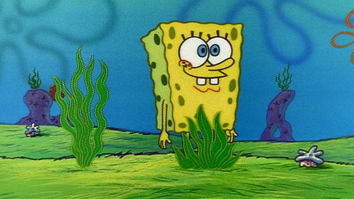 undefined Season 1 Episode 18 - Nature Pants