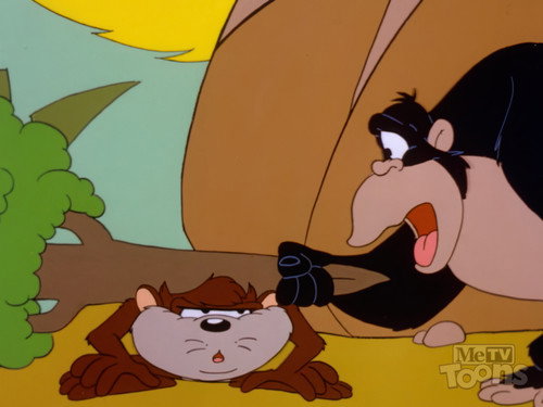 Taz-Mania Season 2 Episode 2 - Oh, Brother