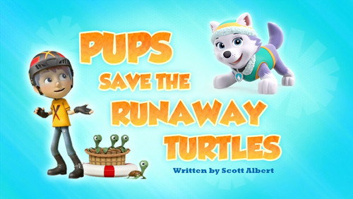 Pups Save the Runaway Turtles still