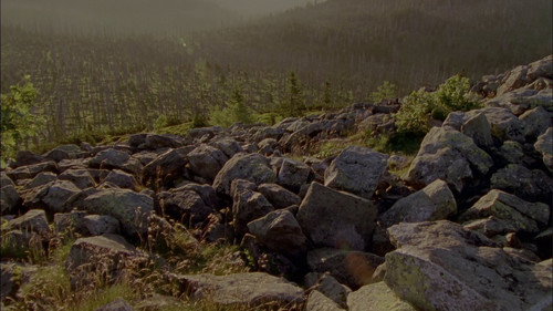 Wild Germany Season 2 Episode 5 - The Bavarian Forest