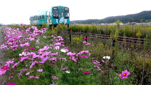 Japan Railway Journal Season 6 Episode 14 - Tenryu Hamanako Railroad: Working with the Community to Revitalize the Railway