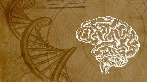 Inner Evolution Season 1 Episode 7 - Subconscious Programming