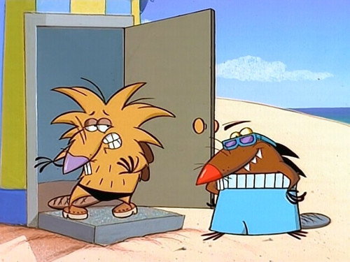 The Angry Beavers Season 1 Episode 9 - Beach Beavers A-Go-Go