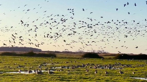 Countryfile Season 35 Episode 8 - Holkham