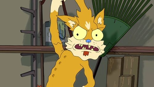 Rick and Morty Season 1 Episode 11 - Ricksy Business