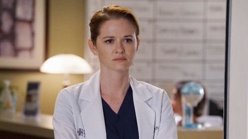 Grey's Anatomy Season 12 Episode 19 - It’s Alright, Ma (I’m Only Bleeding)