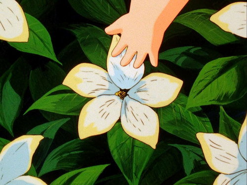 From the Gardenia with Love still