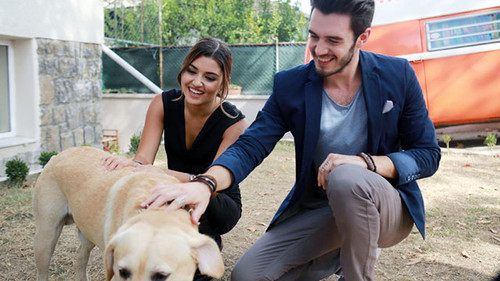 Love Doesn't Understand Words Season 1 Episode 13 - Episode 13
