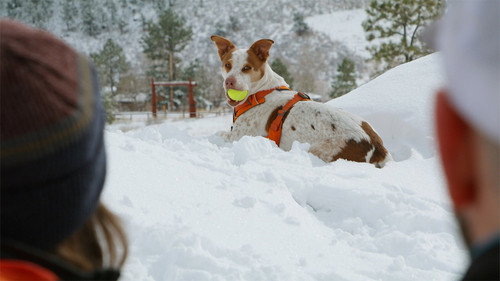 The Wizard of Paws Season 4 Episode 1 - Ski Pawtrol