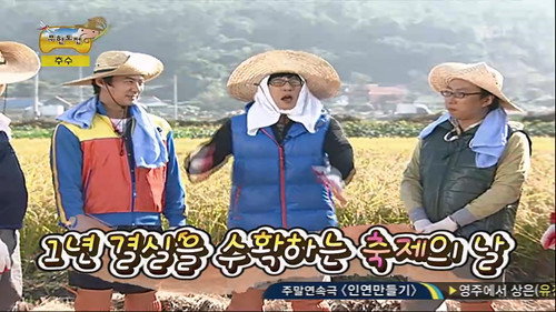 Infinite Challenge Long Term Project - Rice Planting Special: Part 3 still