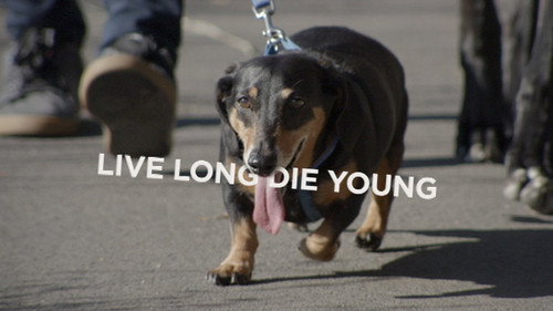 Catalyst Season 17 Episode 19 - Live Long Die Young