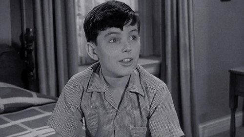 Leave It to Beaver Season 4 Episode 25 - Wally and Dudley