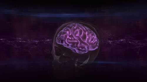 Breakthrough Season 1 Episode 3 - Decoding the Brain
