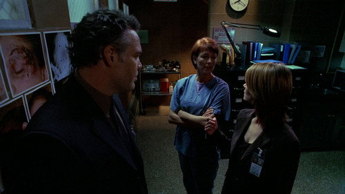 Law & Order: Criminal Intent Season 4 Episode 3 - Want