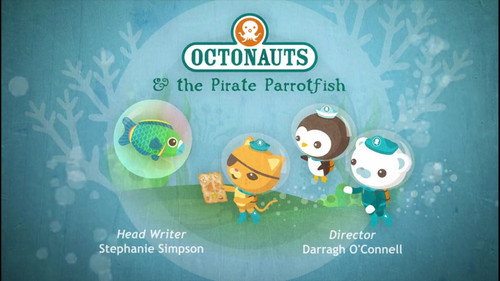 The Pirate Parrotfish still