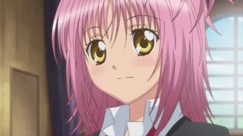 Advance! Mikeneko Search Party!? still