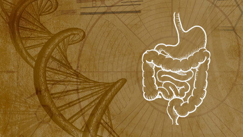 Inner Evolution Season 1 Episode 10 - Immunity & the Microbiome