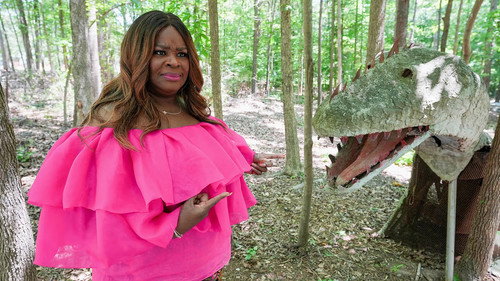 Ugliest House in America Season 4 Episode 5 - The Sorry Southeast