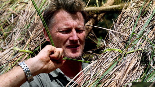 Birds of Paradise: The Ultimate Quest Season 1 Episode 2 - Episode 2