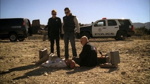 CSI: Crime Scene Investigation Season 11 Episode 12 - A Kiss Before Frying