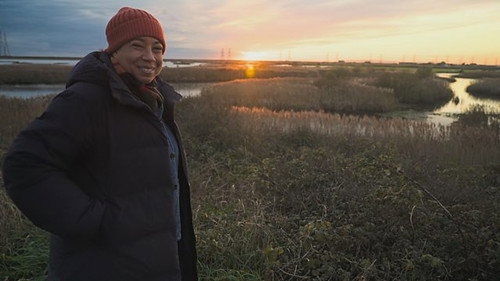 Romney Marsh still