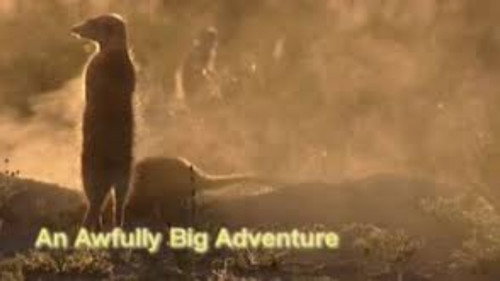 Meerkat Manor Season 1 Episode 11 - An Awfully Big Adventure
