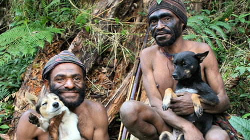 Nature Season 25 Episode 11 - Dogs That Changed The World: The Rise of the Dog