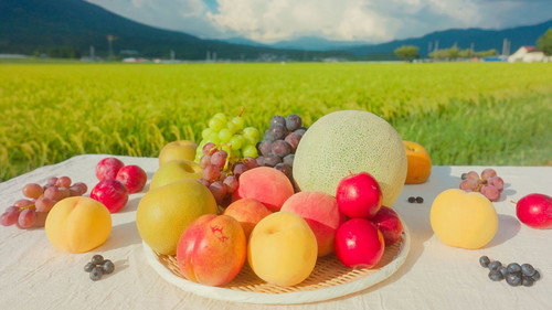 Trails to Oishii Tokyo Season 5 Episode 13 - FUKUSHIMA: FRUIT KINGDOM