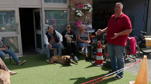 Mr. Frank Visser doet Uitspraak Season 8 Episode 16 - Episode 16