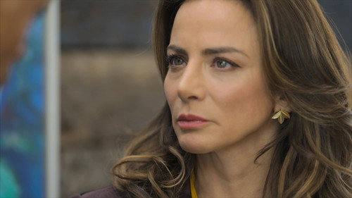 Guardián de mi vida Season 1 Episode 23 - Divorcio unilateral