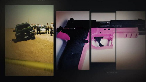 The Pink Gun Mystery still