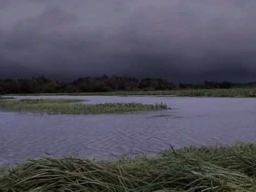 Swamp People Season 3 Episode 14 - Voodoo Bayou