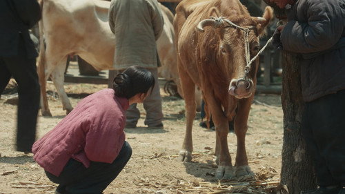 This Thriving Land Season 1 Episode 10 - Episode 10