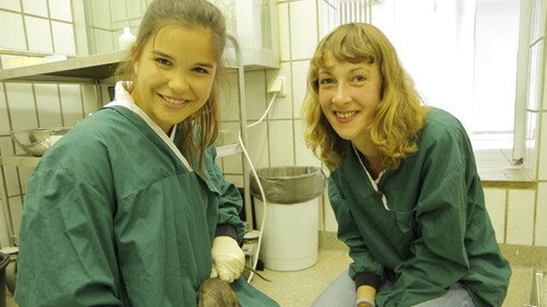 Anna und die wilden Tiere Season 1 Episode 23 - Episode 23