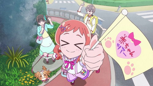 Wonderful Precure! Season 1 Episode 17 - I Will Protect You