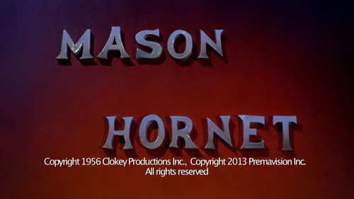 Mason Hornet still