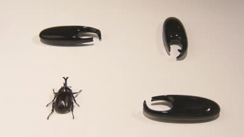 DESIGN TALKS plus Season 5 Episode 17 - Insects