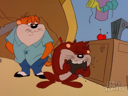Taz-Mania Season 1 Episode 2 - Like Father, Like Son