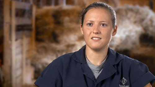 The Incredible Dr. Pol Season 16 Episode 7 - A Pol New World