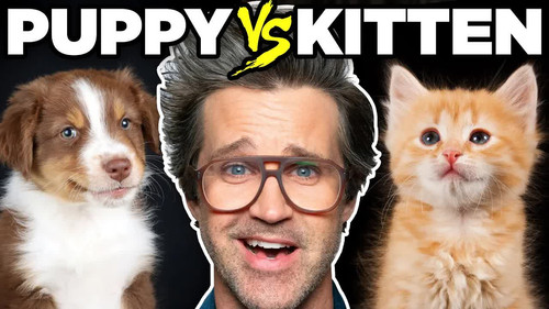 Which is Cuter? still