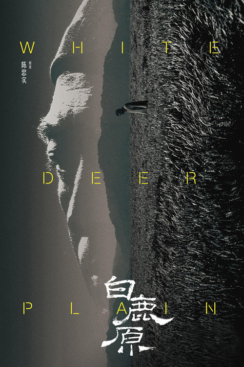 White Deer Plain poster